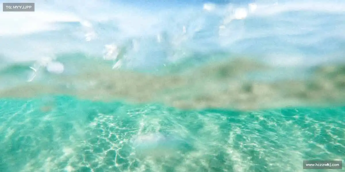 milan米兰🏓小球转动大梦想,每一拍都是全力以赴的姿态!